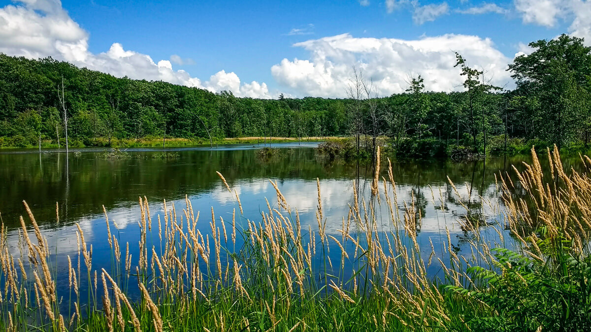 Finger Lakes National Forest Camping Rules Boondocker S Bible