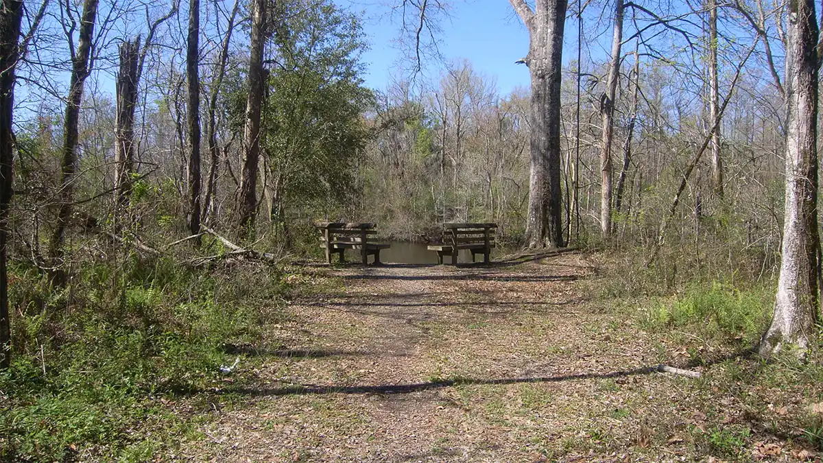 Camping At Atchafalaya National Wildlife Refuge Boondocker S Bible