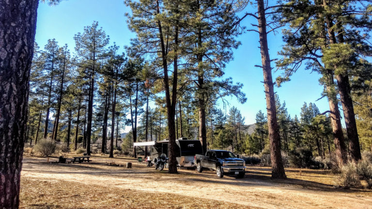 Can You Camp For Free In National Forests