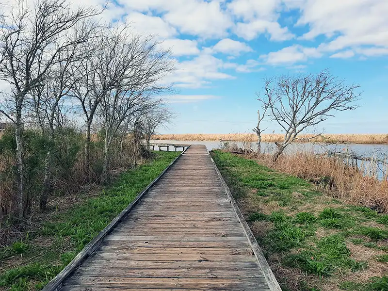 Photo of the dock at fort anahuac park texas