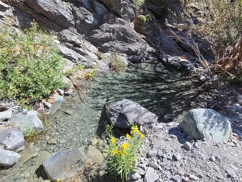 Photo of Lytle Creek at Alpine Canyon Yellow Post Site, Lytle Creek, CA