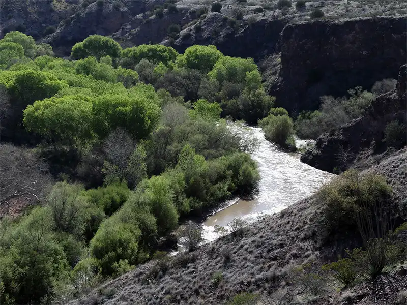 Photo of the Gila River at fishermans point, gila lower box canyon, new mexico