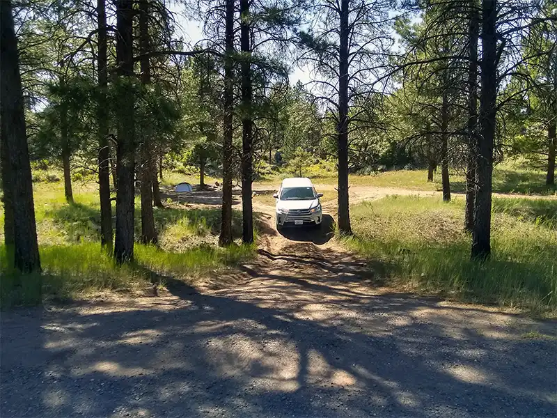 photo of camping at forest road 302, kaibab national forest