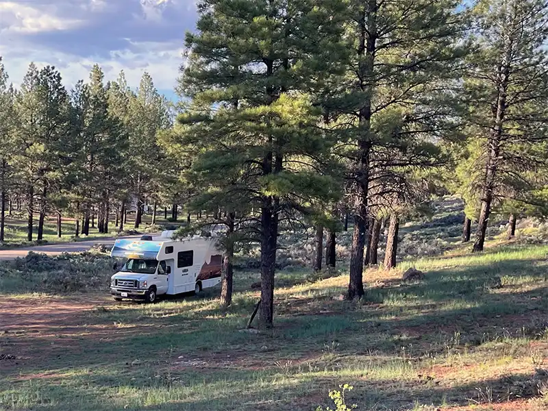 Photo of a campers at Forest Road 305, Kaibab National Forest