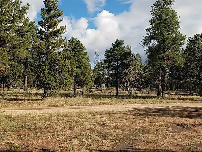 photo of grandview tower at Forest Road 310, Kaibab National Forest