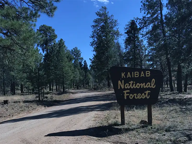 photo of the forest sign at Forest Road 310, Kaibab National Forest