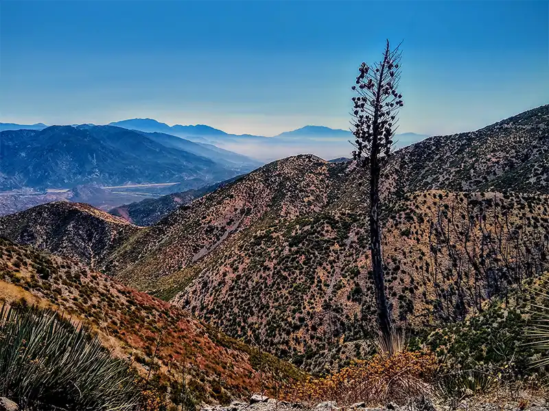 Photo of the horizon at gobblers knob campsite, lytle creek, ca