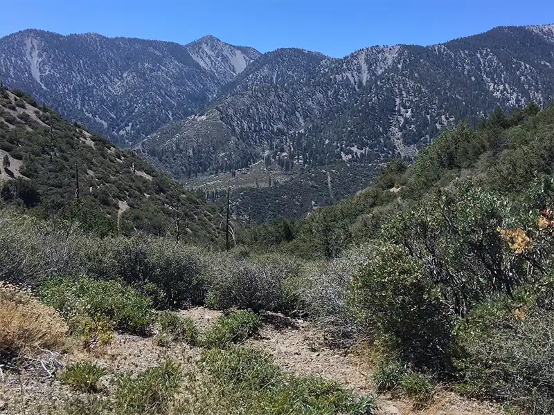 photo of the mountain range at gobblers knob campsite, lytle creek, ca
