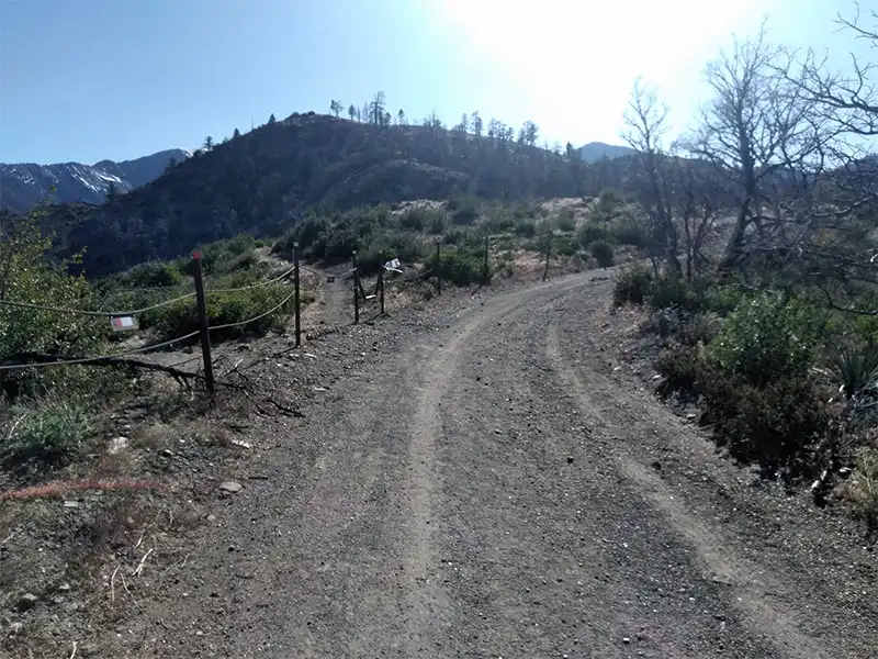 Photo of the road up to gobblers knob campsite, lytle creek, ca