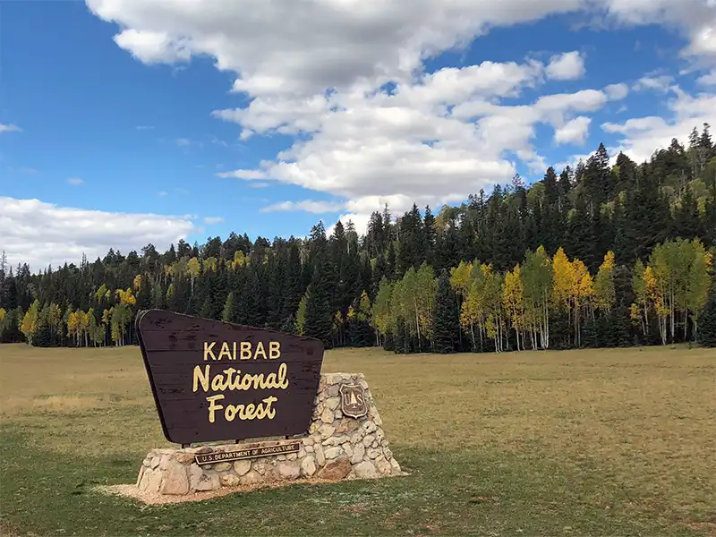 Photo of the welcome sign at east side of highway 67, north rim, kaibab national forest