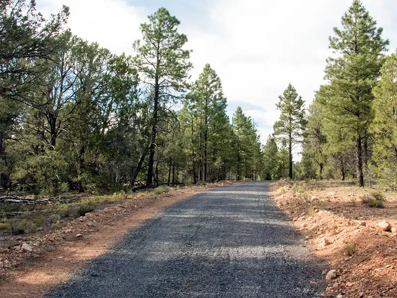 photo of the road through Long Jim Loop, Kaibab National Forest