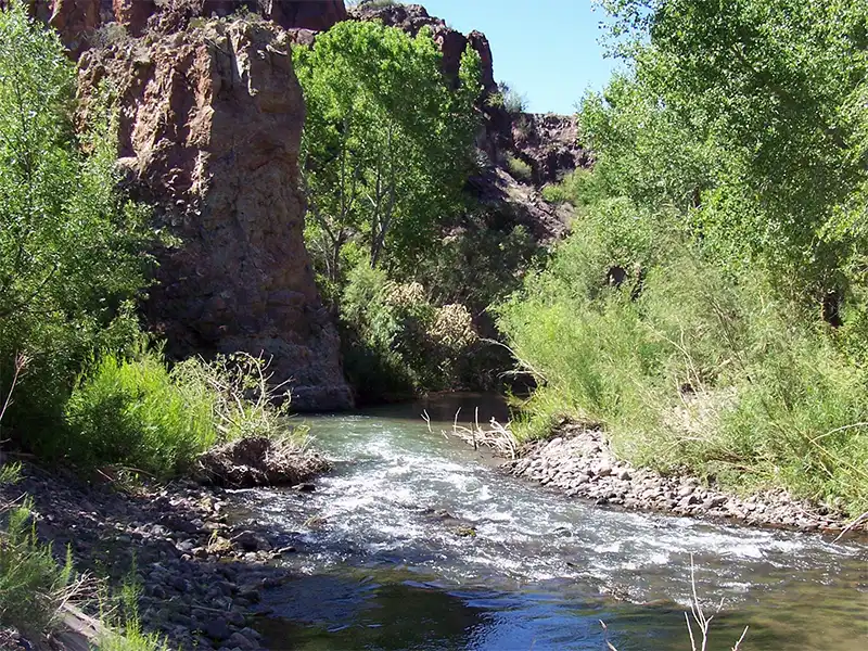 Photo of the Gila River running through Nichols Canyon, Gila Lower Box Canyon, New Mexico