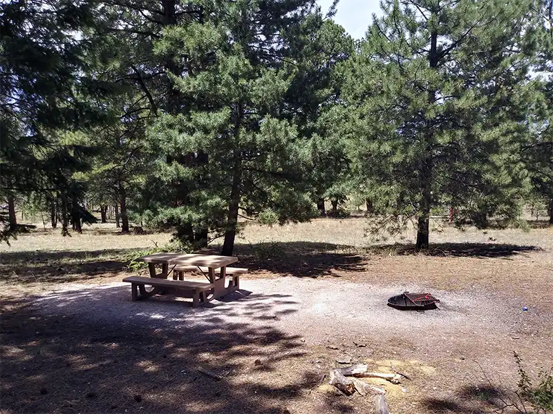 photo of a campsite at Ojo Redondo Campground, Grants, NM