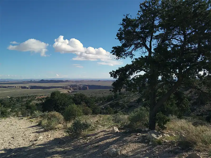 photo of the view at Old Arizona 67, Grand Canyon Camping