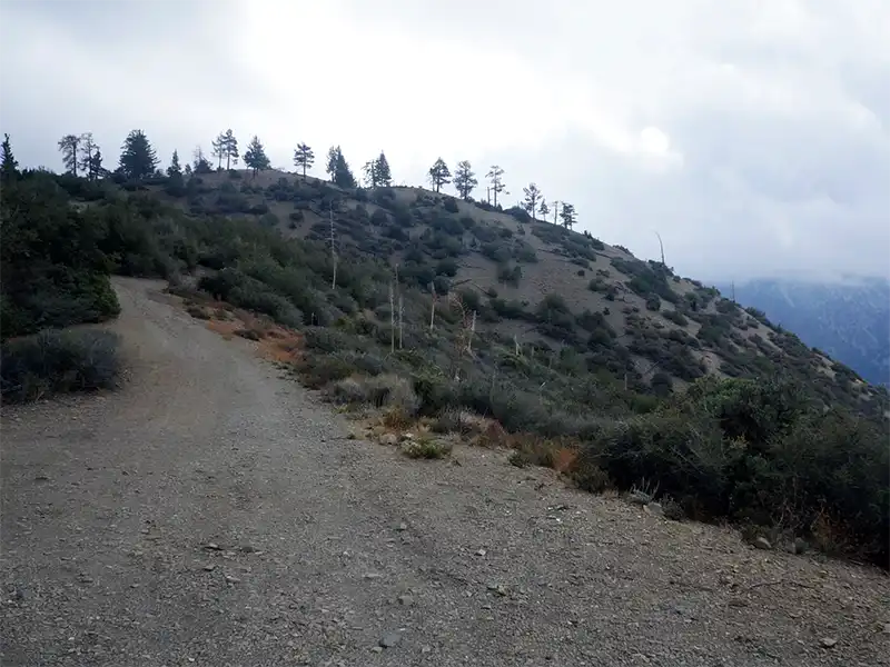 Photo of the road at pine camp, yellow post site, lytle creek, ca