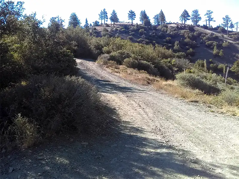 photo of the road at Pit Camp Yellow Post Site, Lytle Creek, CA