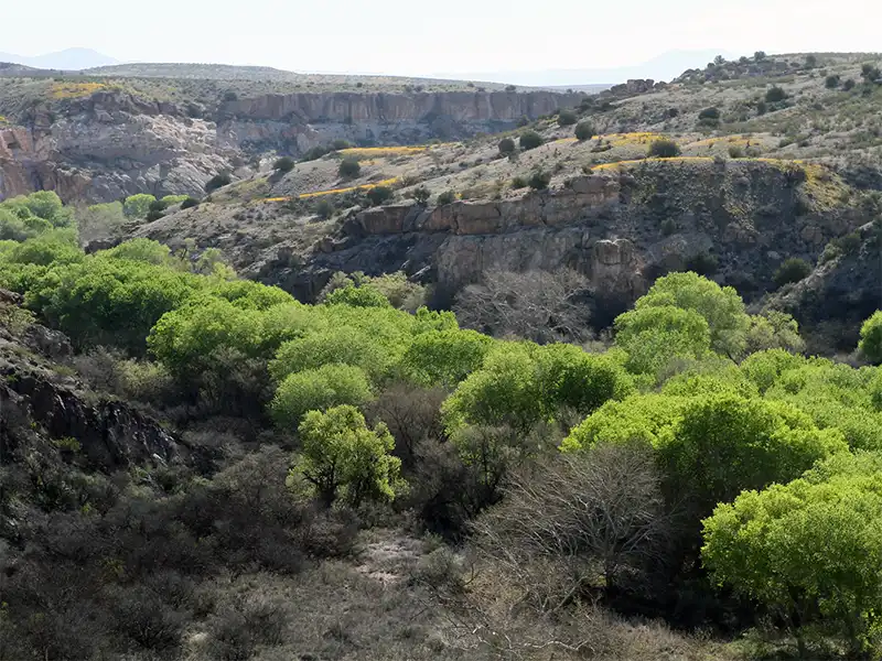 Photo of the canyon at Spring-on-the-Bluff, Gila Lower Box Canyon, New Mexico