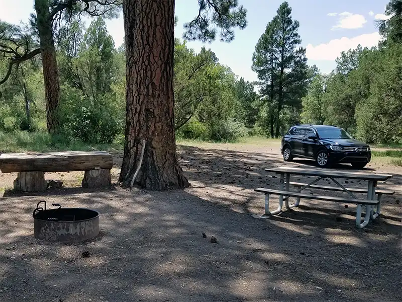 Apache Creek Campground, Reserve, NM