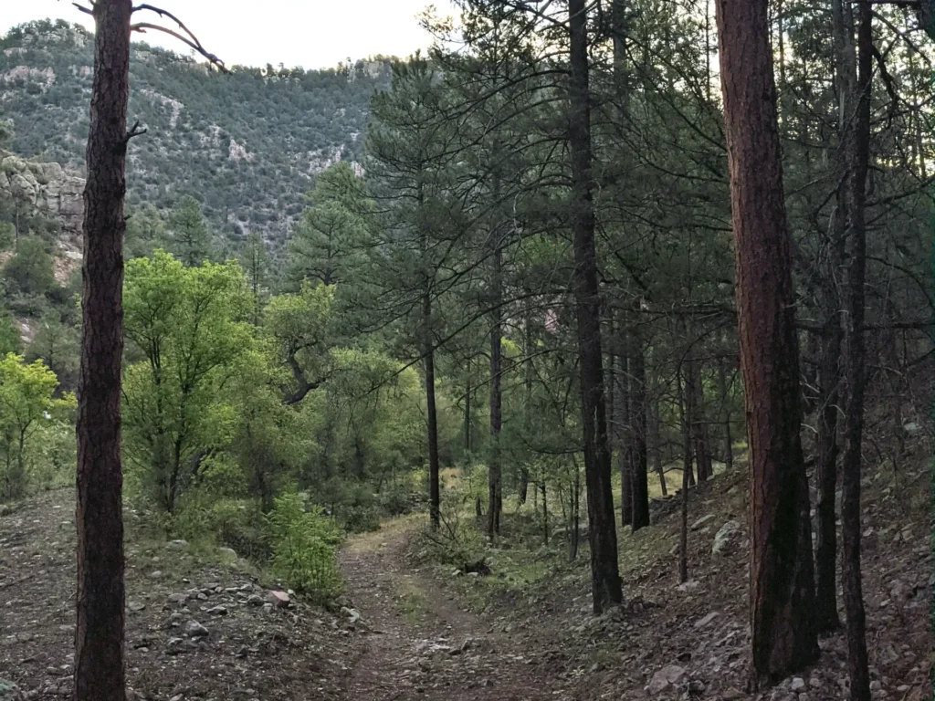 Cottonwood Campground, Reserve, NM