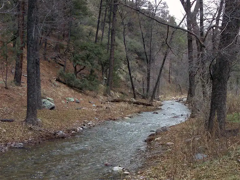 The creek running through Gallinas Campground Upper, Mimbres, NM
