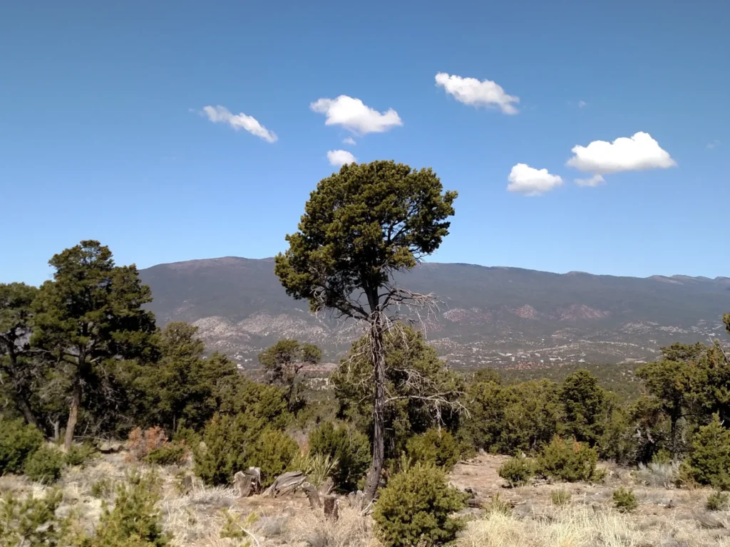 Links Tract Campground, Pecos, NM