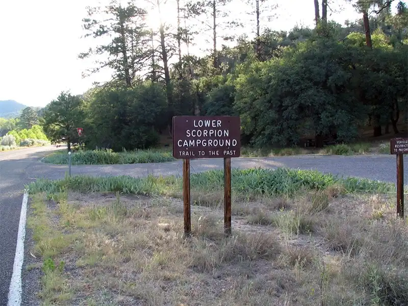 Lower Scorpion Campground, Gila Hot Springs, NM