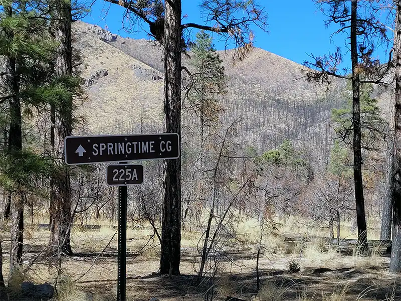 Springtime Campground, Truth or Consequences, NM