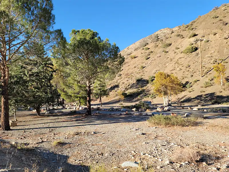 sycamore-flat-campground-pearblossom-ca-cover