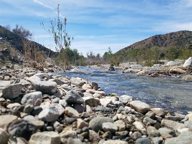 sycamore-flat-campground-pearblossom-ca-cover