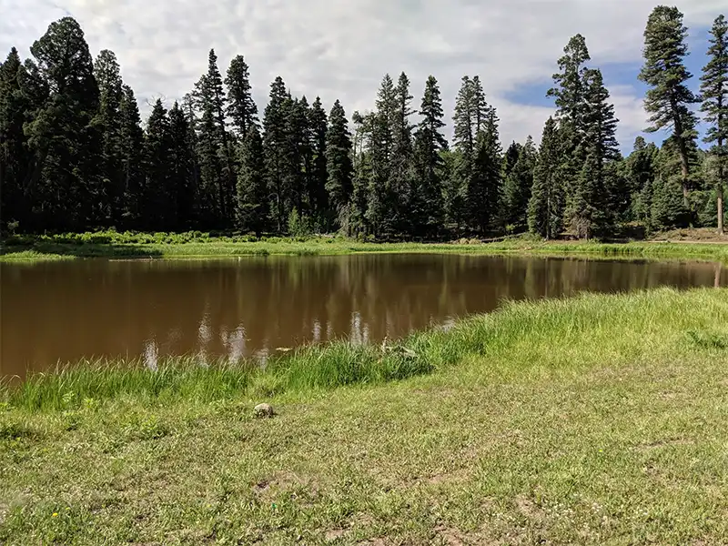 Trout Lakes Campground, Tierra Amarilla, NM