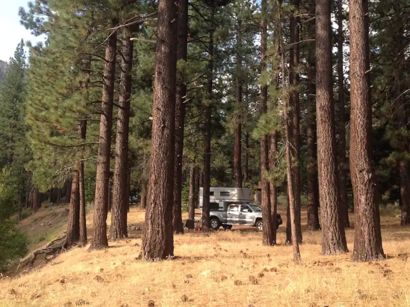 Wolf Creek Dispersed Campground, Markleeville, CA
