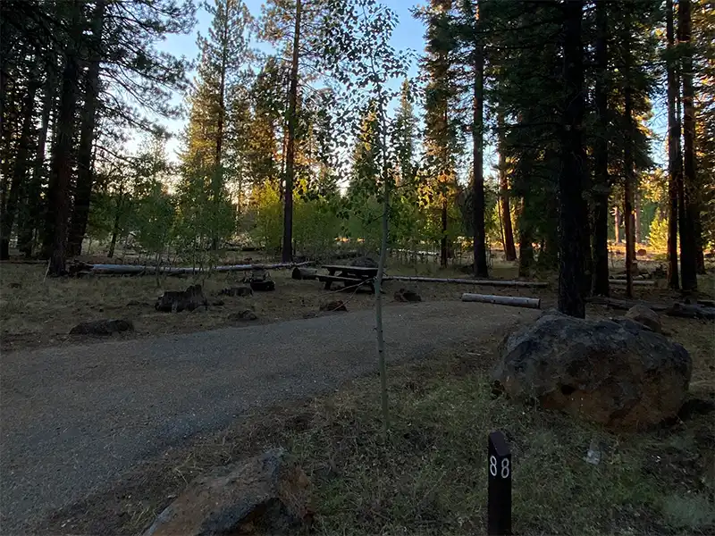 Bogard Campground, Susanville, CA